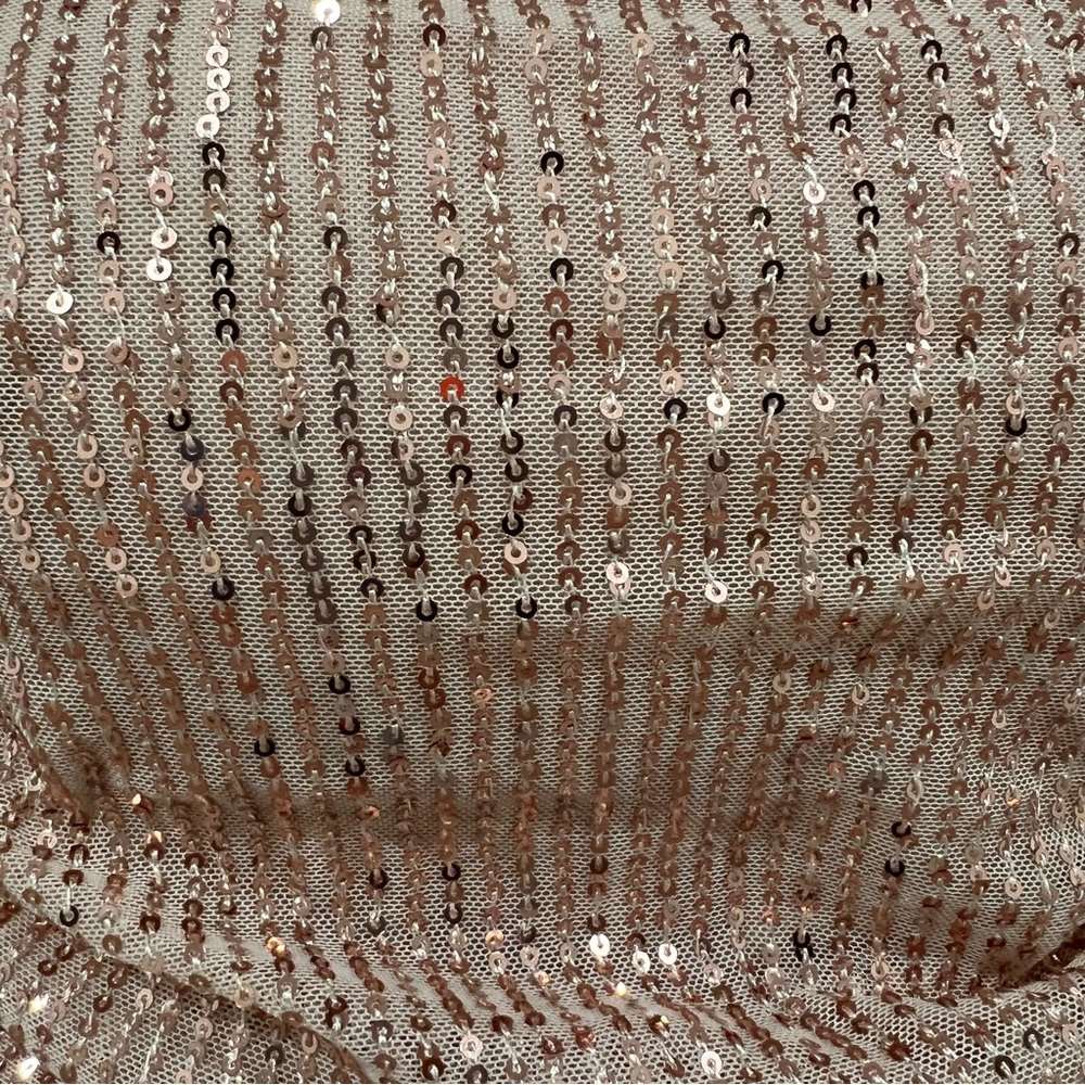 FAERIESTY Embellishment: Rose Gold Sequin Evening Dress - Picture 16 of 16